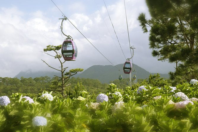 Dalat Private Tour Package in 2 Days - Who is This Tour Best For?