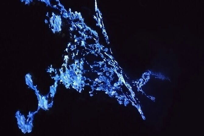 Day Hike Mount Ijen Mid Night Blue Fire Guided Tour - What’s Included and What’s Not