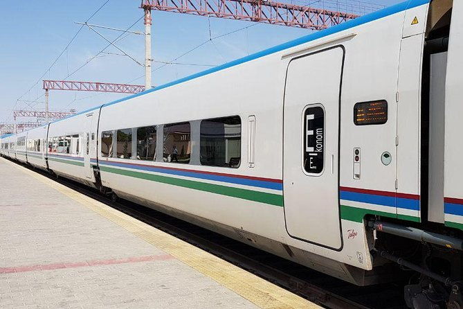 Day Tour to Samarkand from Tashkent by train. - Who is this tour best suited for?