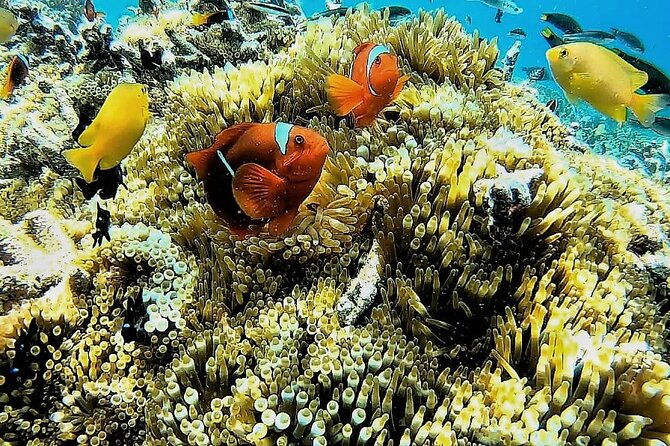Day Trip Secret Island West Of Lombok - The Experience and Value