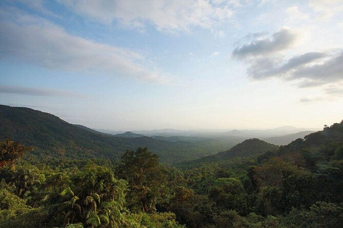Day Trip to Mollem National Park Including Dudhsagar Falls and Jeep Safari from Goa - Final Thoughts: Is It Worth It?