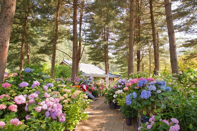 Day Trip to Nami Island with The Garden of Morning Calm - FAQ