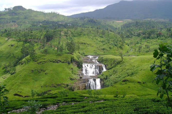 Day Trip to Nuwara Eliya with Kingfisher Tours - Authentic Experiences that Make a Difference