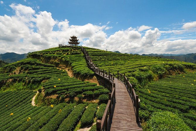 Day Trip to Singalila (Guided Private Sightseeing Experience from Darjeeling) - The Sum Up