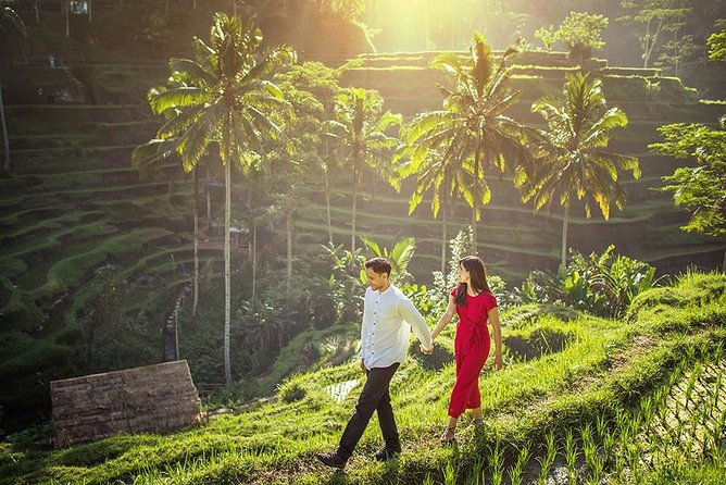 Day Trip: Ubud Monkey Forest, Rice Terrace, Temple and Waterfall - The Sum Up