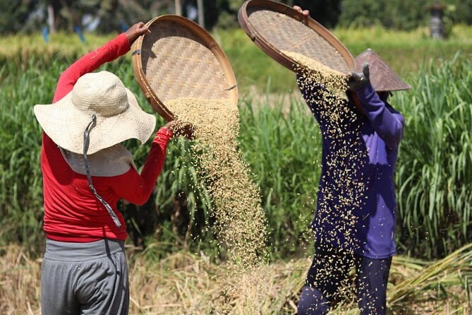 Day with a Balinese Family in a Village - The Sum Up