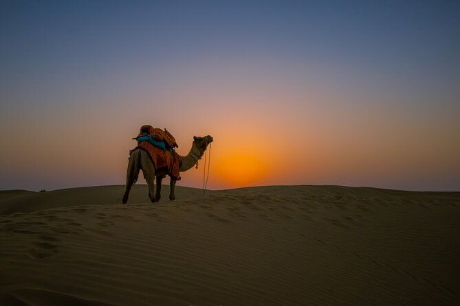 Dazzling Half Day Tour of Camel & Desert Safari with Sunset - FAQ