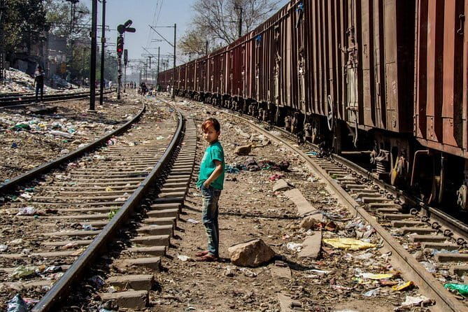 Delhi Day Tour with lunch Guide Entry Fees- Guided Tours by Car - Who Will Love This Tour?