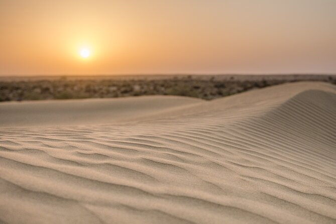Deluxe Desert Experience & Cultural Night - The Reviewers’ Perspective