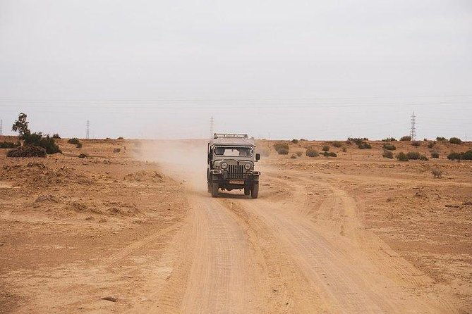 Desert Safari Tour Package - The Sum Up