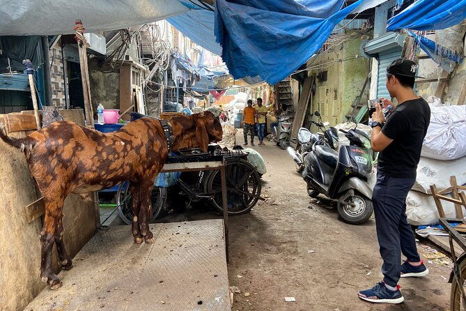 Dharavi Slum Tour in Mumbai with Combo Packages & Transfers - Who Is This Tour Best For?