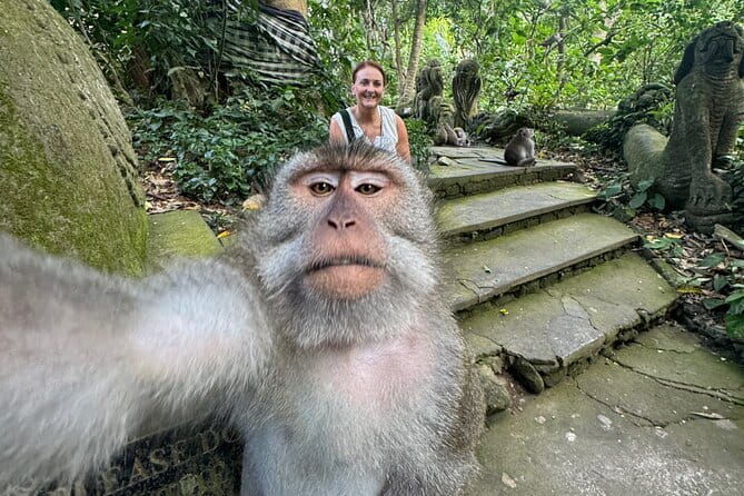 Discover Bali Best Tours: Tanah Lot, Monkey Forest, and Waterfall - Practical Tips for Travelers