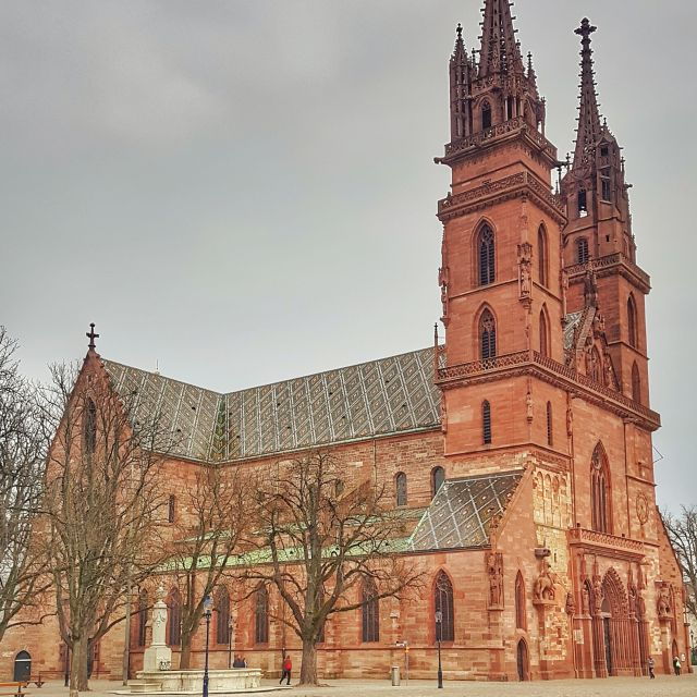 Discover Basel's Charm: Exclusive Private Walking Tour - Cost and Value: Is It Worth It?