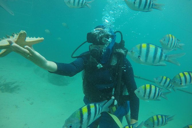 Discover Scuba Diving ( beginners) Combined With Jet Ski - Why This Tour Is Worth It
