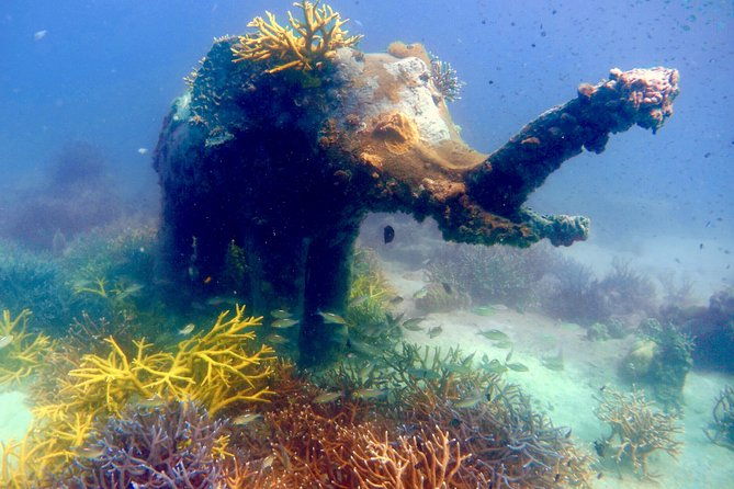 Discover Scuba Diving, try dive for beginners ( Start at Ko Kut) - Practical Details and Value  