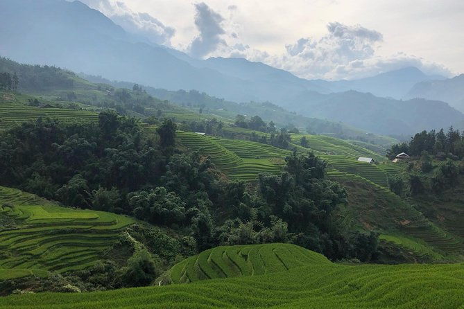 Discover the Beauty of Sa Pa: A One-Day Trek - What You Can Expect on the Tour