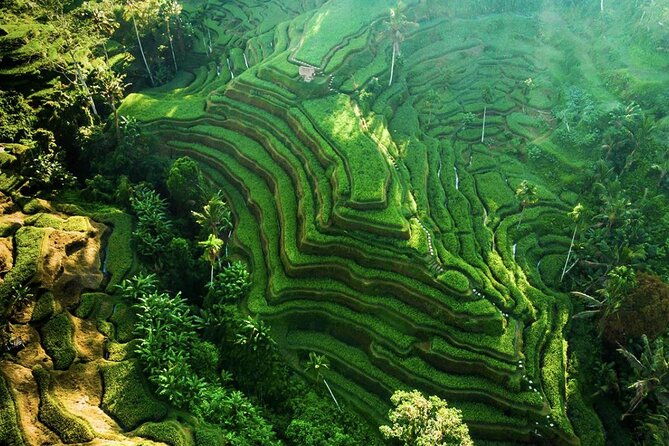 Discover Ubud: Exotism Ubud and Optional Meet the Bali Shaman - Final Thoughts