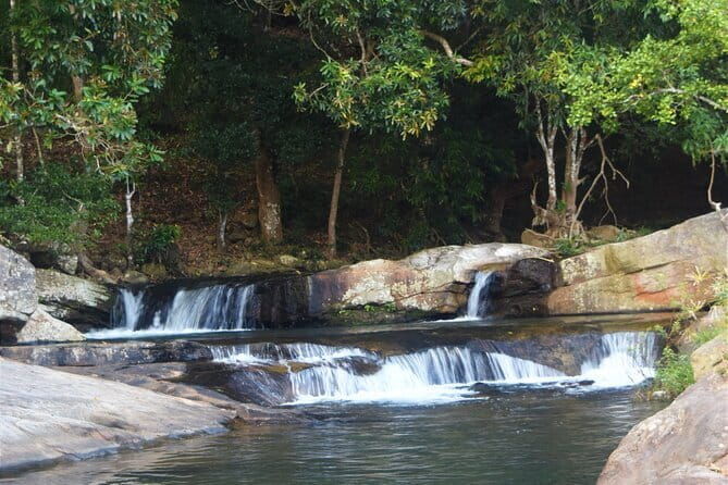 Diyaluma Waterfall and Natural Pool Bath With Lunch - Authentic Experiences and What Reviewers Say