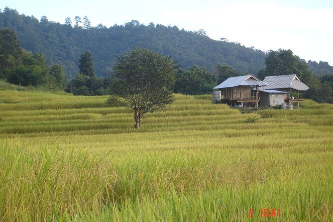 Doi Inthanon National park and 2 hours hiking with private tour - The Value of the Experience