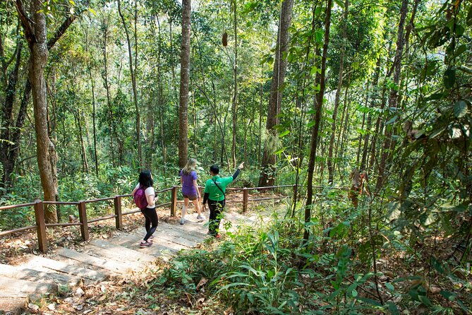 Doi Inthanon National Park Eco-Friendly Full Day Tour - Authentic Experiences That Shine