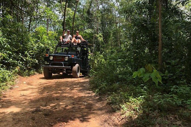 Eco Jungle Safari Tour around Koh Samui Including Lunch - Practical Details: What You Need to Know