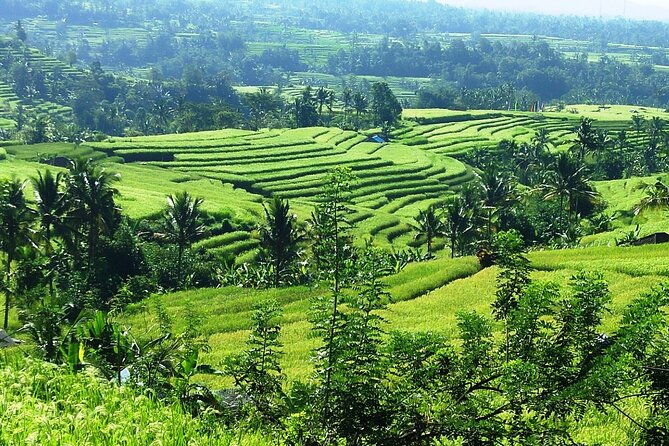 Electric bicycle tour in Jatiluwih UNESCO site - Practical Details and Considerations