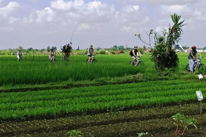 Electric bicycle tour in quaint South Ubud - FAQs