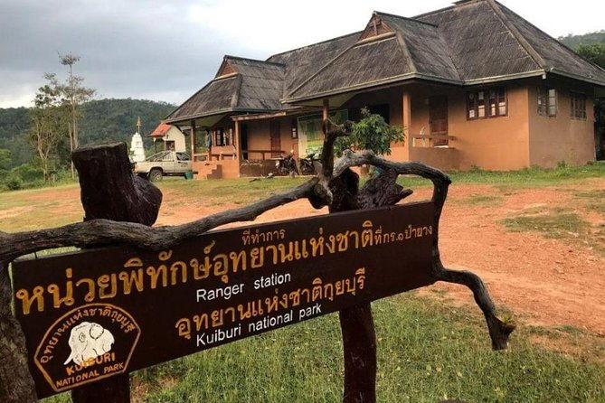 Elephant and Wildlife Watching in Kuiburi National Park - Private Afternoon Tour - Transportation and Comfort