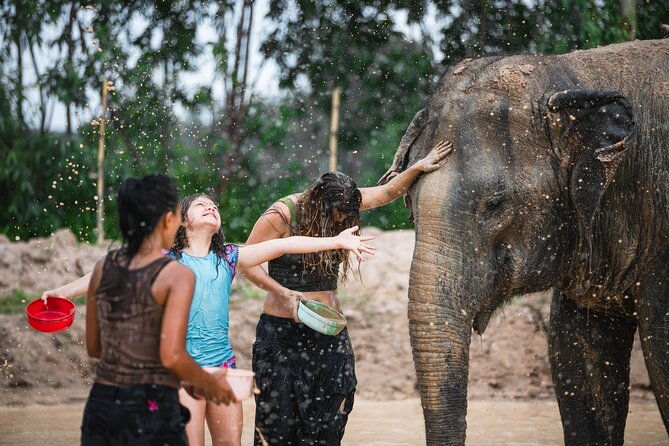 Elephant Jungle Sanctuary: Half Day Morning Program - Final Thoughts