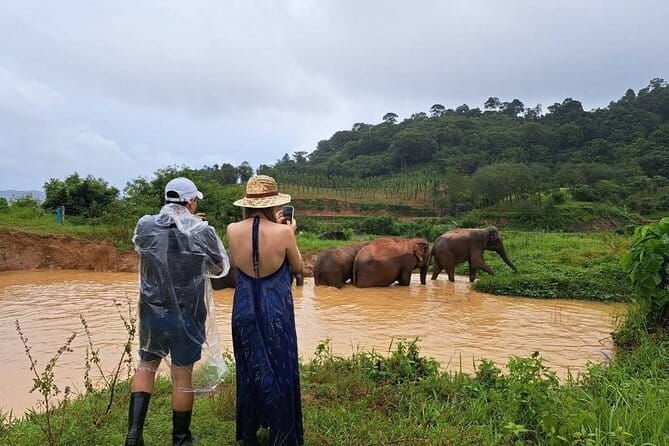 Elephant Nature Experience with Lunch at Bukit Elephant Park - FAQs