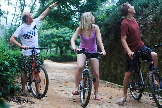 Ella Cycling Experience in Ella - FAQs