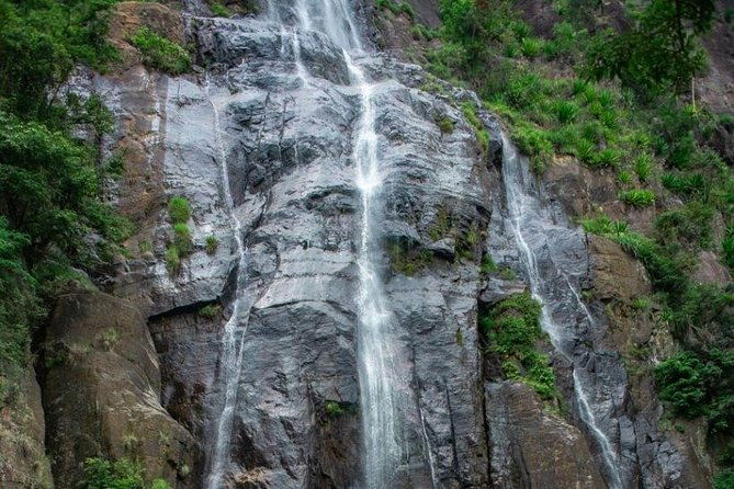 Ella Day Trip from Mirissa, Weligama, Galle, Hikkaduwa - The Value: Is It Worth the Price?