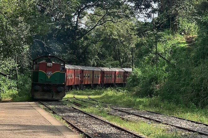 Ella Private Day Tour - Departing from Any Location in Sri Lanka - Practical Tips for Making the Most of the Tour