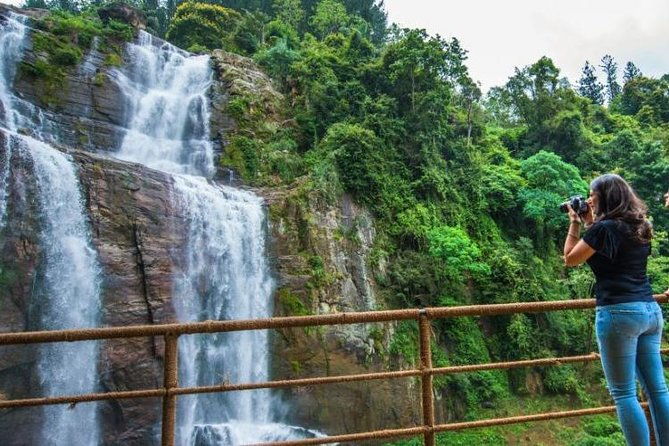 Ella Private Day Tour From Kandy - Damro Labookellie Tea Centre and Garden