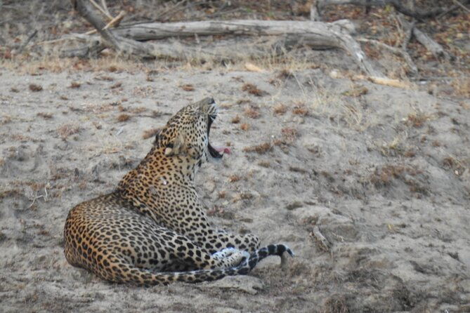 Evening Safari - Yala National Park with Janaka safari - 02.00 pm to 06.30 pm - FAQ