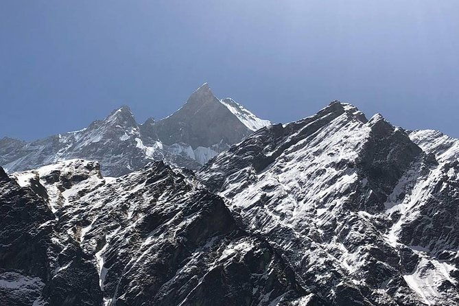 Everest Base Camp Trek -14 Days - Authentic Experience: What Travelers Say