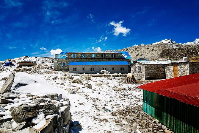 Everest Base Camp Trek with Helicopter Return - 10 Days - Who Should Consider This Tour?