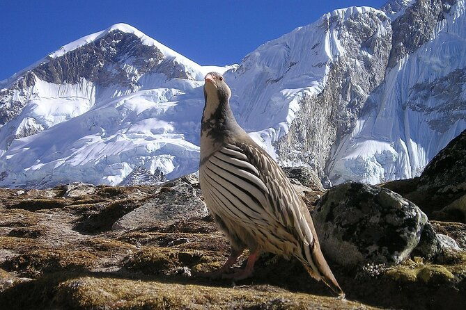 Everest Base Camp Trek with Kathmandu Valley Sightseeing Tour - The Itinerary in Detail