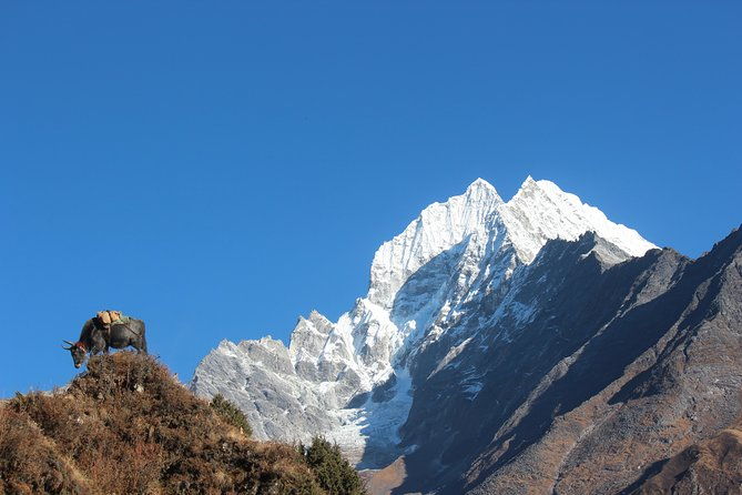 Everest Three Pass Trek - The Sum Up