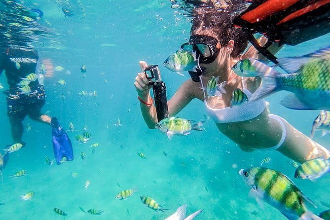 Exclusive Similan Island by Speed Boat - Potential Drawbacks to Consider