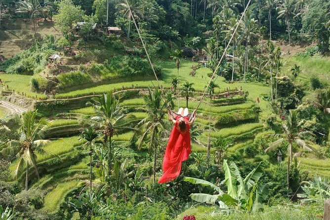 Exclusive Ubud Day Tour - Who Is This Tour Best For?
