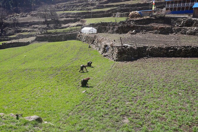 Experience the Thrill of a Lifetime:12-Days Manaslu Circuit trek - Who Is This Trek Best For?