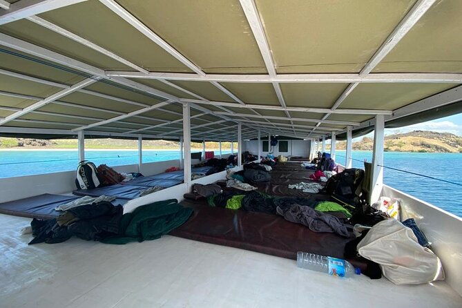 Explore Komodo and Swim with Whale Sharks - What We Love & What to Consider
