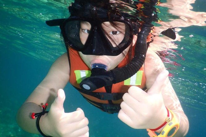 Explore Nha Trang Bay: Half-Day Snorkeling Adventure Tour - Pricing and Value for Money