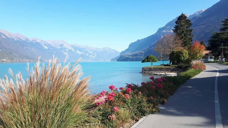 Explore Swiss Villages: Interlaken-Grindelwald(Private Tour) - The Cost and Value