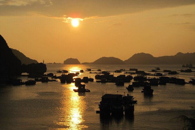 Explore The Beauty Of Cat Ba Island Hai Phong 2 Day Deluxe Trip - Final Thoughts on This 2-Day Adventure