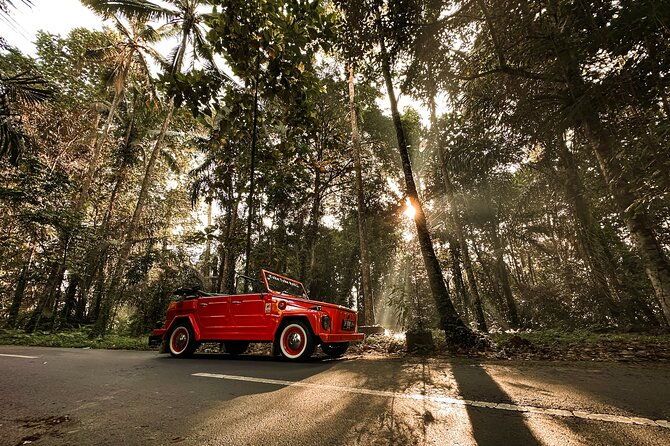 Explore the highlight of Bali By Vintage Volkswagen Car - Final Thoughts on the Bali Vintage Volkswagen Tour
