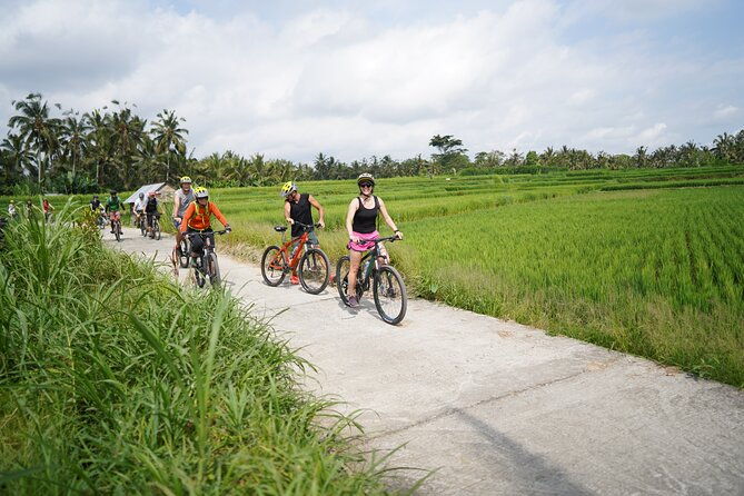 Explore Ubud with Electric Bike - Authentic Experiences from Reviews