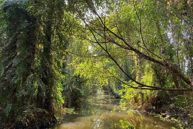 Explore Wetlands and Nature Reserve from Can Tho - Why This Tour Works for the Right Traveler