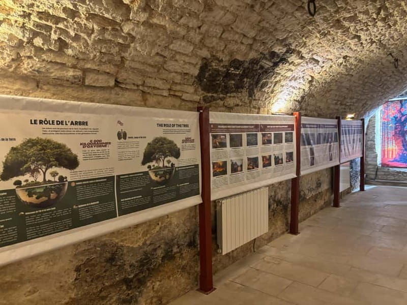 Exposition "Les forêts en souffrance" & Dégustation de vins - Who Should Consider This Tour?